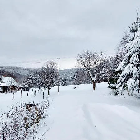Beskidzka Oaza Holiday home